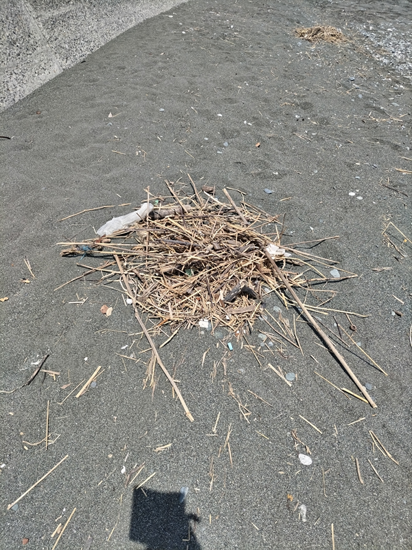 ひきこもりだった齋藤健一が集積した木くずゴミ