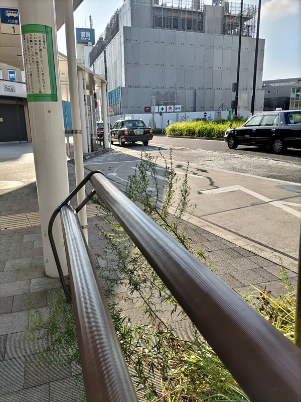 早起きした元ニートひきこもりが撮影したＪＲ辻堂駅前の風景