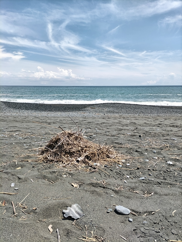 ひきこもりニートから期間雇用の海岸清掃の仕事に従事している齋藤健一が集めた木くずの山