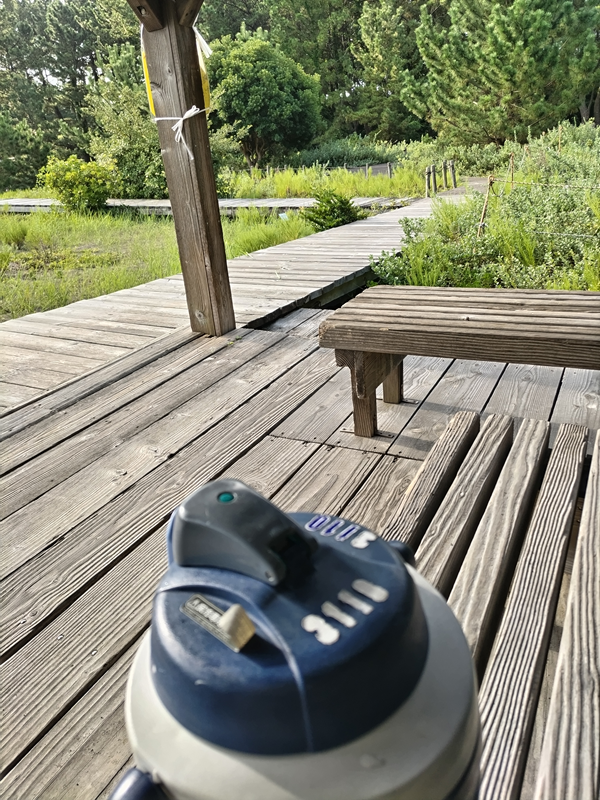 元ニート所有のでかい水筒と公園の風景