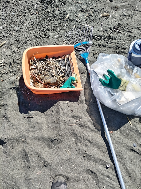 元引籠りが清掃していた木くずと道具