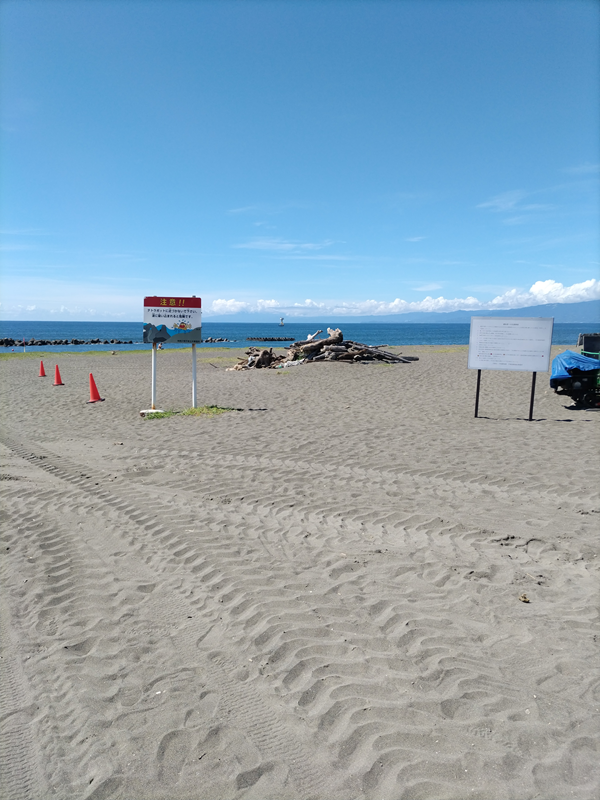 元引籠りが見た平塚市の綺麗な海岸