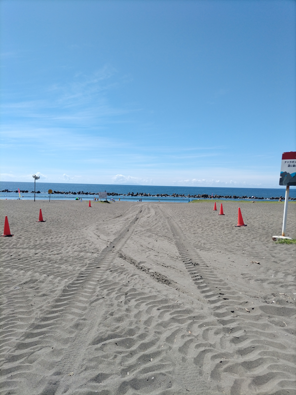 元引籠りが撮影した平塚ビーチセンター横の砂浜と重機のタイヤ痕