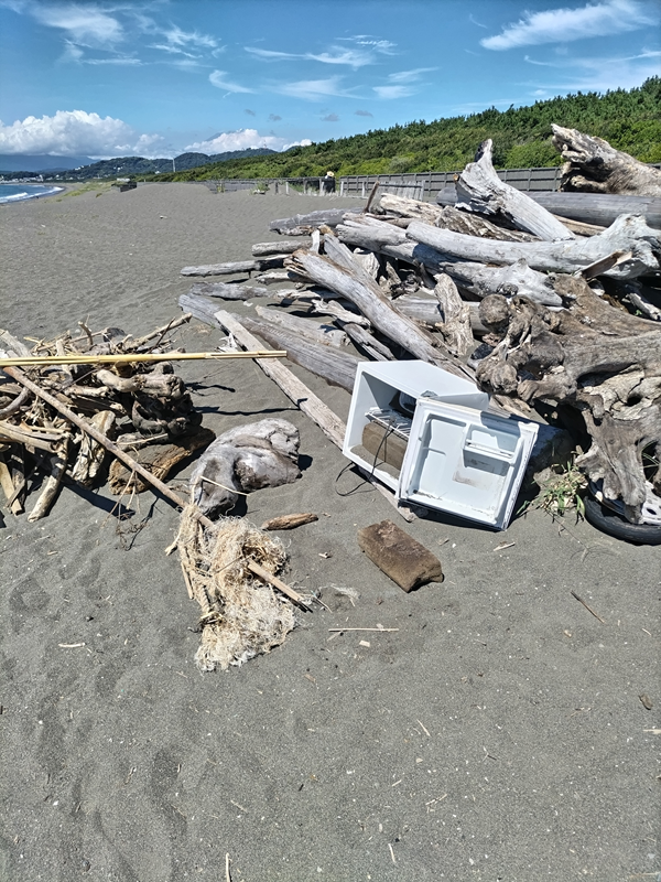 元ひきこもり撮影の流木集積場所