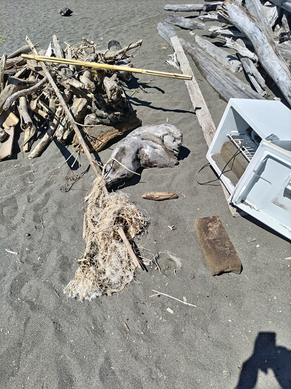 元引籠りニートの齋藤健一が撮影した平塚市のビーチの奥の方にある流木の集積場所