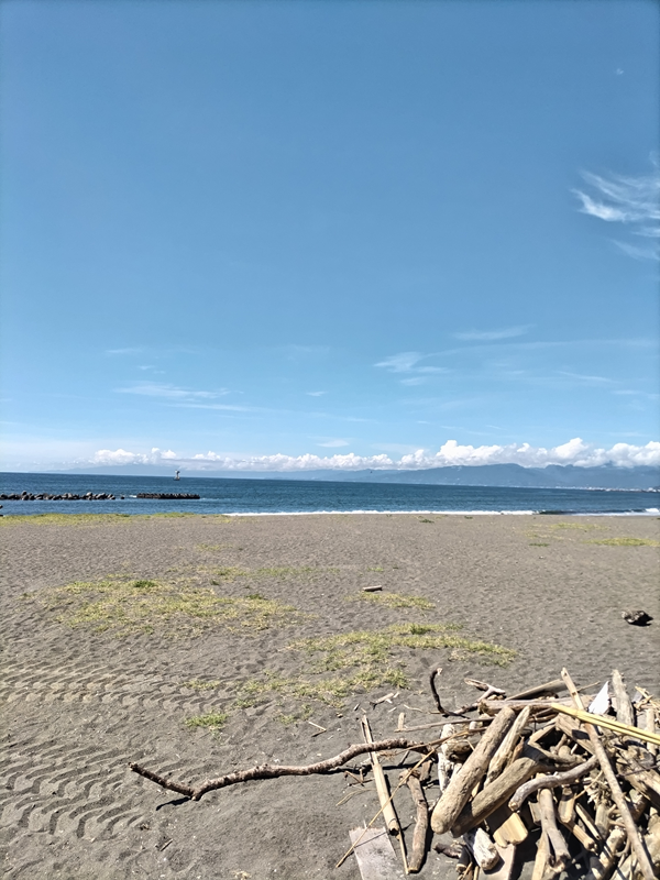 ひきこもりだった齋藤健一撮影の平塚市の綺麗な海岸と砂浜と流木ゴミ