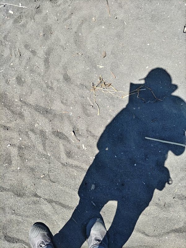 元引籠りが海岸清掃をしていた現場の砂浜