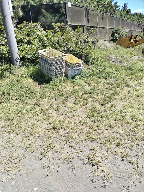 元引籠りが作業をして綺麗にした跡の平塚ビーチセンターのゴミ集積場所の様子