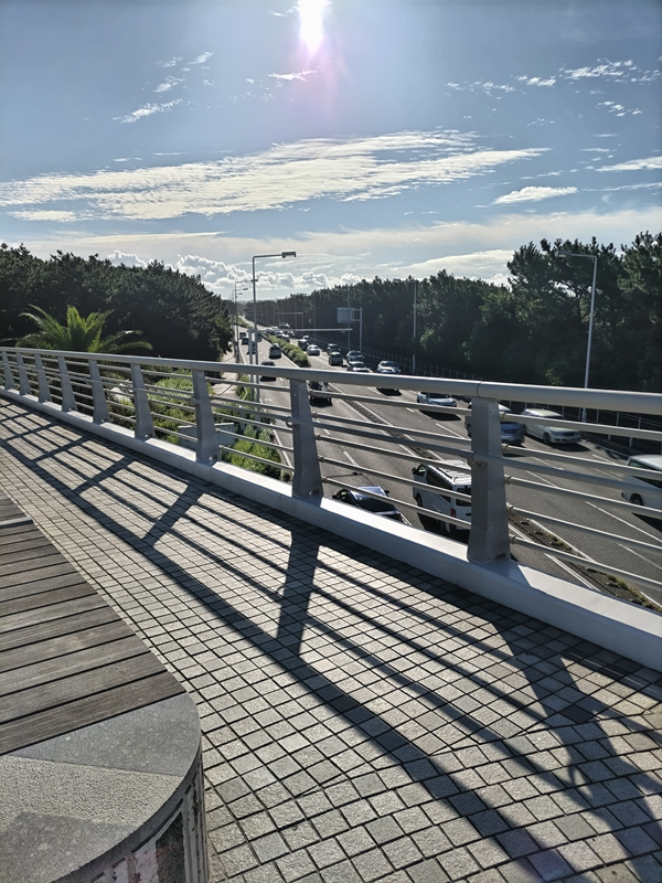 元引籠りが見た早朝の国道134号線