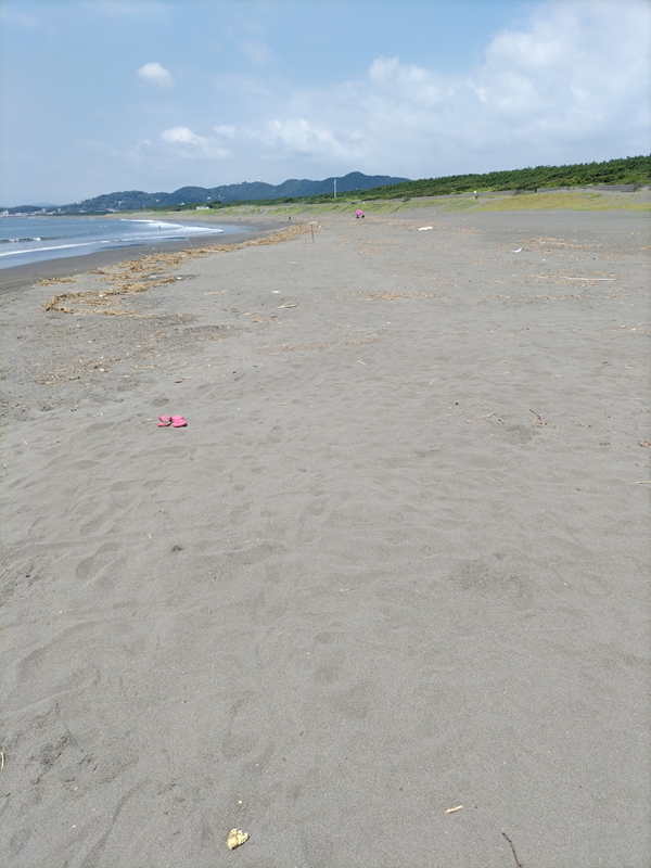 ひきこもりニート状態ではなく、既に清掃作業員となって働いていた現場写真