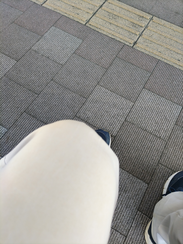 ひきこもりニートを辞めて勤務し出してから二日目の、ＪＲ辻堂駅前のベンチに座った状態の自分の膝