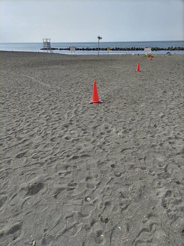 ニートひきこもりではなくなって二日目の、多分、平塚のビーチの風景