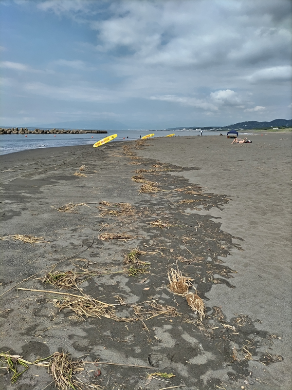 ひきこもりニートから清掃作業員になって二日目の、仕事現場だった平塚市の汚れた砂浜の様子