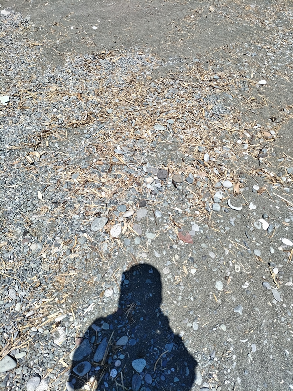 元引籠りが撮影した小田原の御幸の浜の石ころだらけの浜