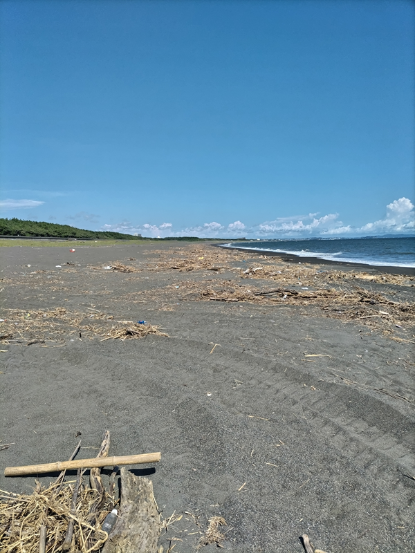 元引籠りニートの俺が撮影した大磯町の海岸に漂着した大量の木くず類