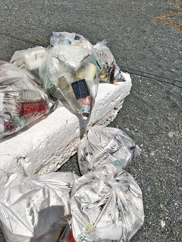 元ニートひきこもりが集めた二宮海岸に漂着したペットボトル等の人工ゴミ