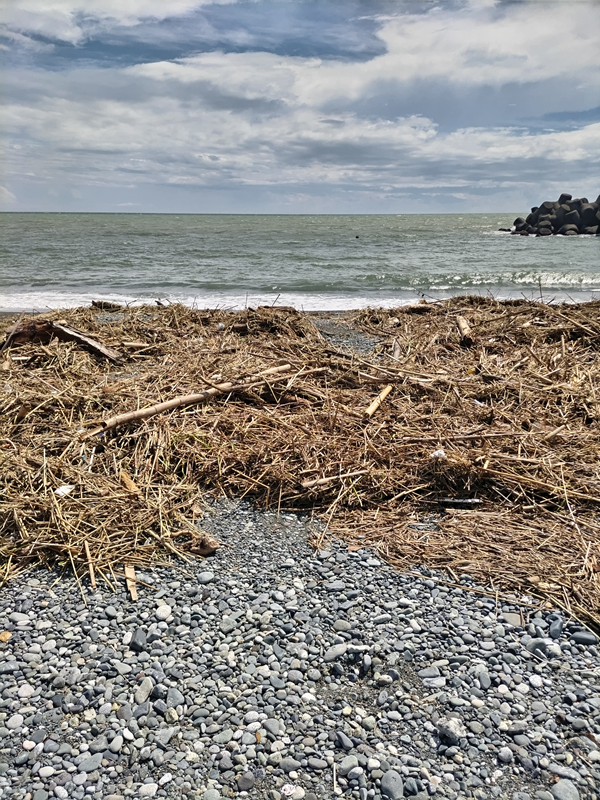 元引籠り撮影の二宮梅沢海岸に漂着した超大量の木くずゴミ