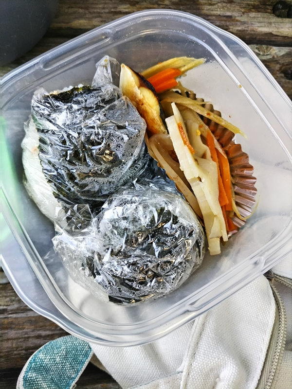 元ニートが食べていたおにぎりと根菜と魚の弁当