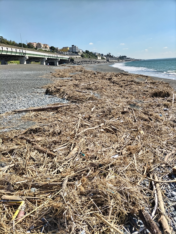元引籠りが清掃した現場の清掃前の様子