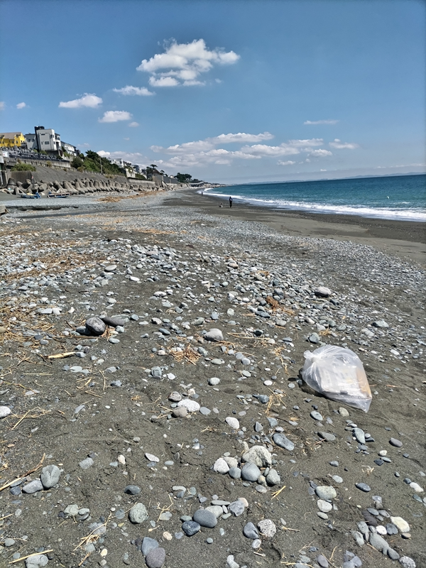 元引籠りが撮影した梅沢海岸の石ころだらけの様子