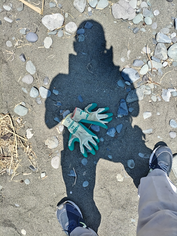 元引籠りがいた梅沢海岸の砂浜にいた石ころと砂浜