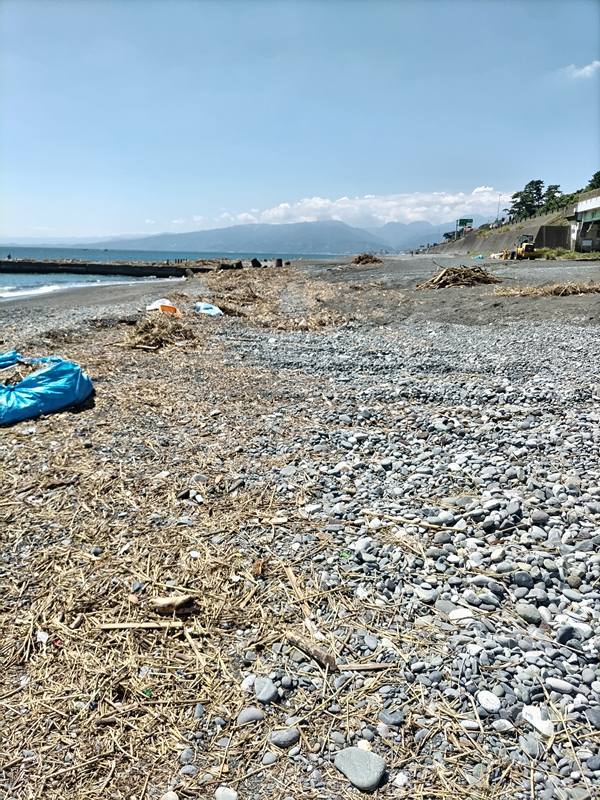 元ニートが掃除中の二宮町の梅沢海岸の様子
