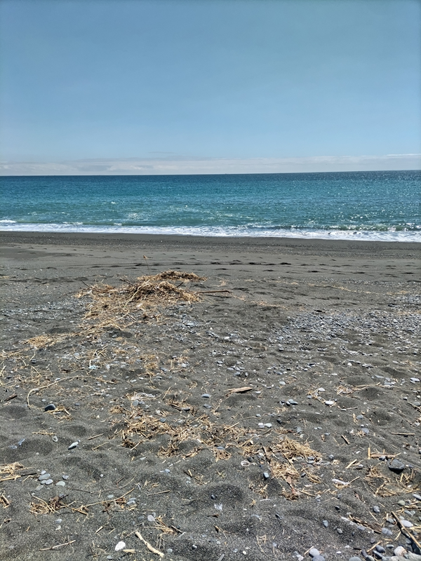 元ニート撮影の二宮町の梅沢海岸の砂浜と海岸