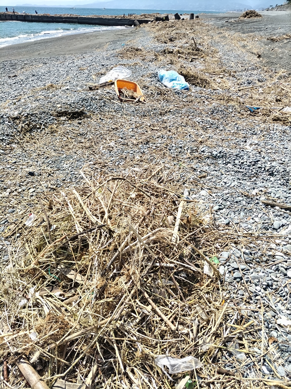 元ニート引籠りが必死になって海岸清掃していた梅沢海岸で集めた木くずの山