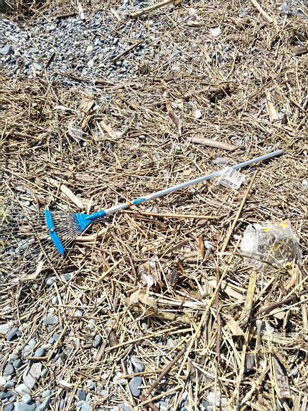 元引籠りニートが二宮町・梅沢海岸で持っていた熊手