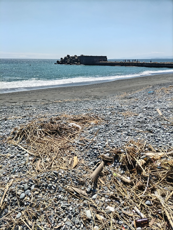 元引籠りニートがこれから作業する汚い梅沢海岸の現場