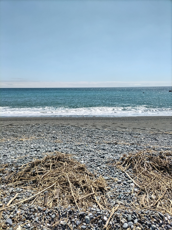 元ニートひきこもりが清掃作業していた二宮町の梅沢海岸の木くずと海