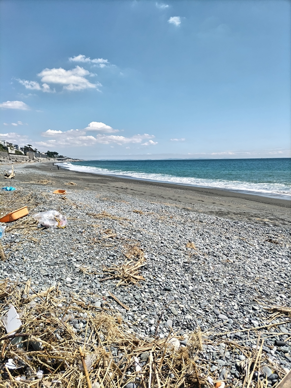 元ニートが撮影した梅沢海岸から見た遠くまでの砂浜の様子