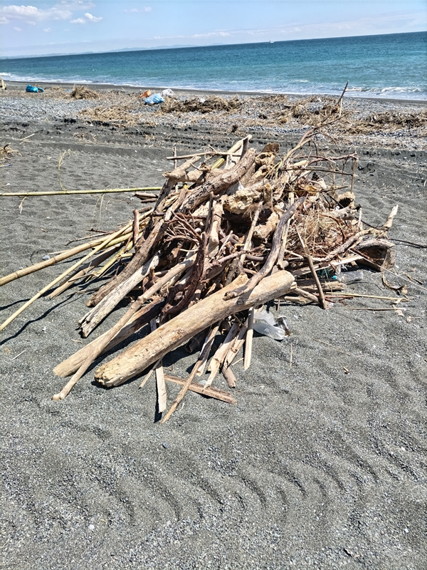 元ニート引籠りの齋藤健一が二宮海岸で集めた流木の山