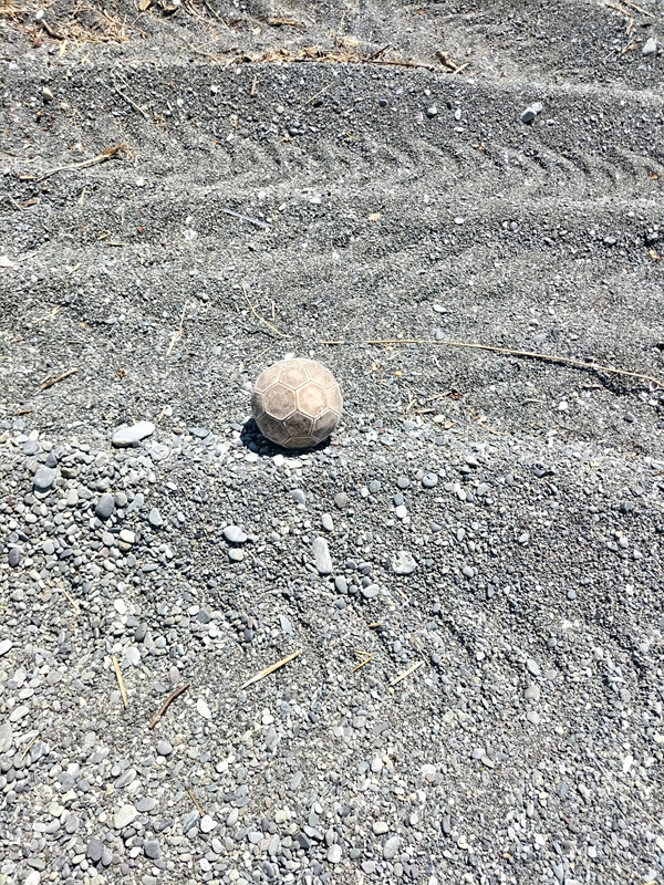 元引籠りが撮影した梅沢海岸にあったボール