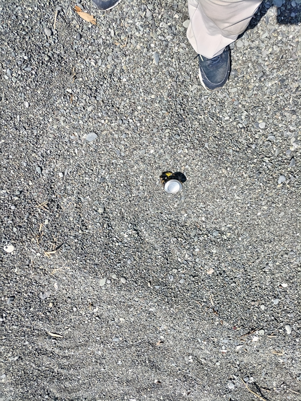 元引籠りが撮影した缶珈琲の缶【二宮町の梅沢海岸にて】