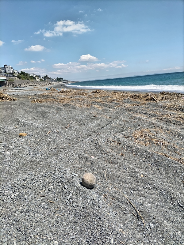 元引籠りの齋藤健一撮影の、梅沢海岸にあった朽ちたサッカーボール