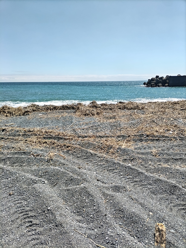 元引籠りが撮影した二宮町の梅沢海岸の木くずで汚れた様子と海と突堤