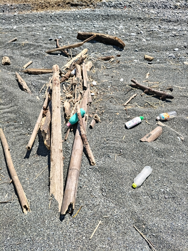 元引籠りが撮影した流木とペットボトルと洗剤のゴミ