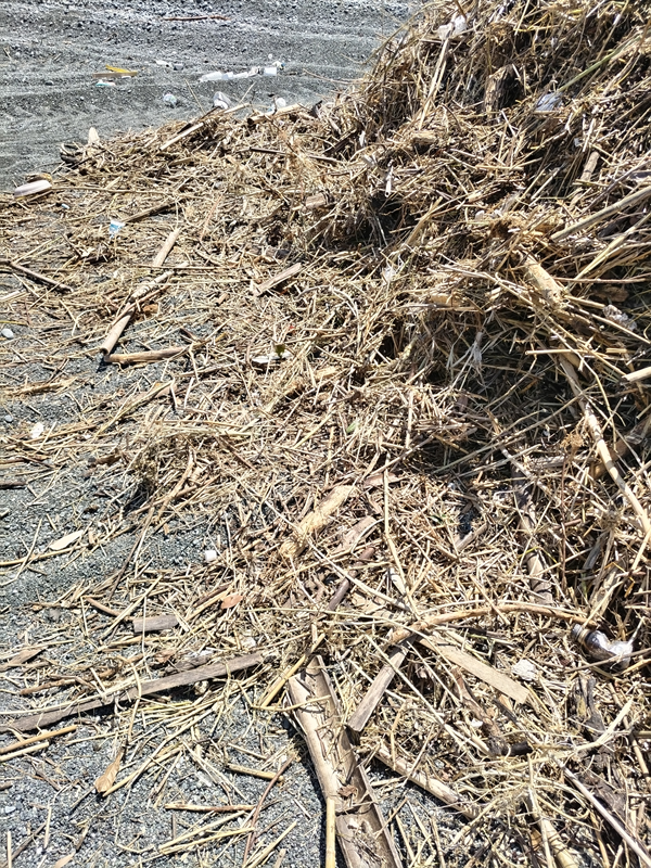 元ひきこもりが撮影した木くずの山の端