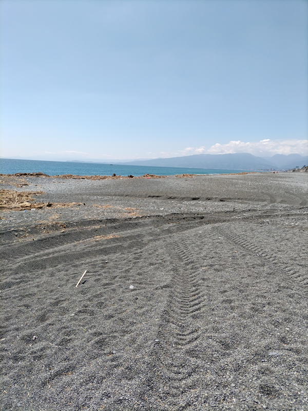 元引籠り撮影の二宮町の海岸