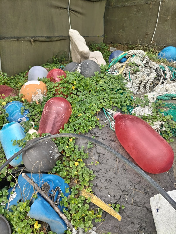引きこもりだった齋藤健一が見た超大量のブイ（茅ケ崎海岸の奥のゴミ置き場にて）