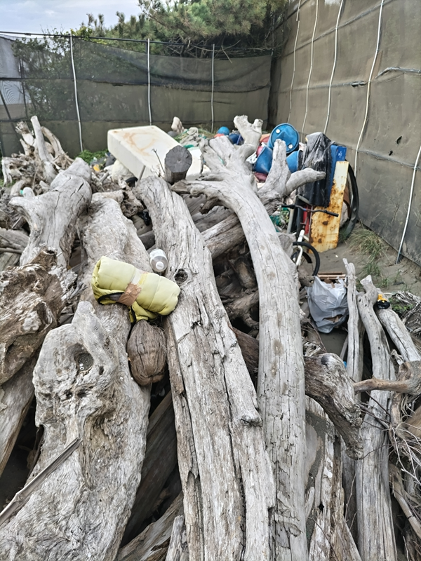引きこもりだった齋藤健一が撮影した大量の流木と奥にある人工ゴミのドラム缶の山