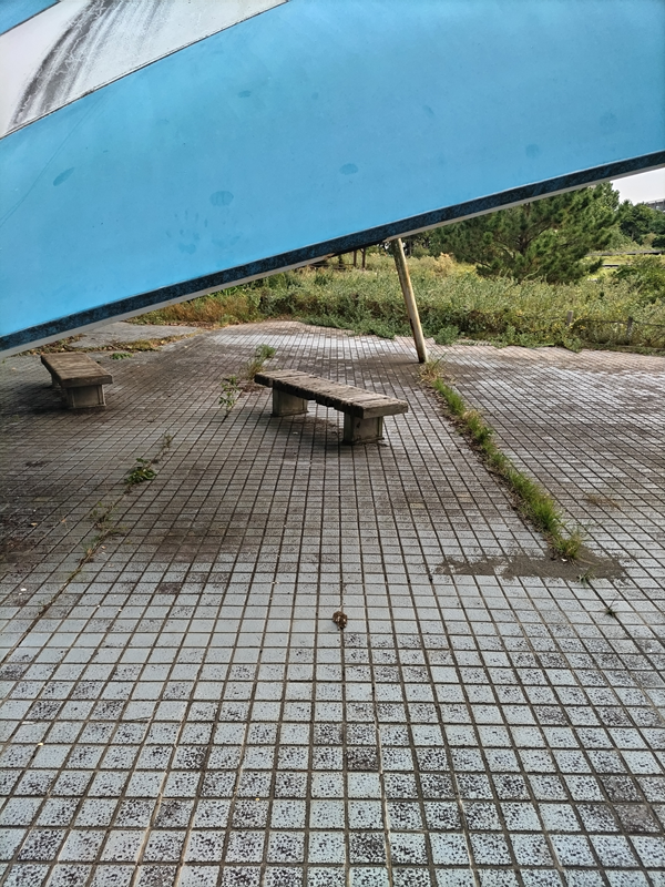 引きこもりだった齋藤健一が見ていた自然公園内の青い屋根付きのベンチ