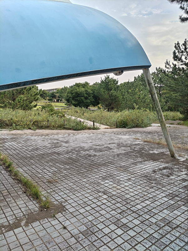 元引籠りニートの俺が見ていた屋根付きの場所