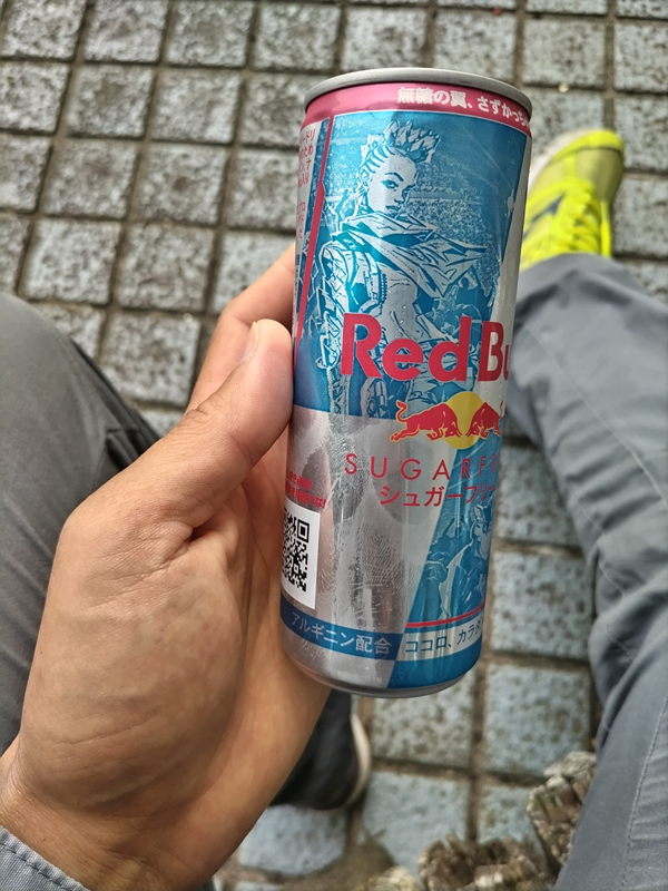 元引籠りニートの俺が海岸清掃前に飲んでいたレッドブル（シュガーフリー）