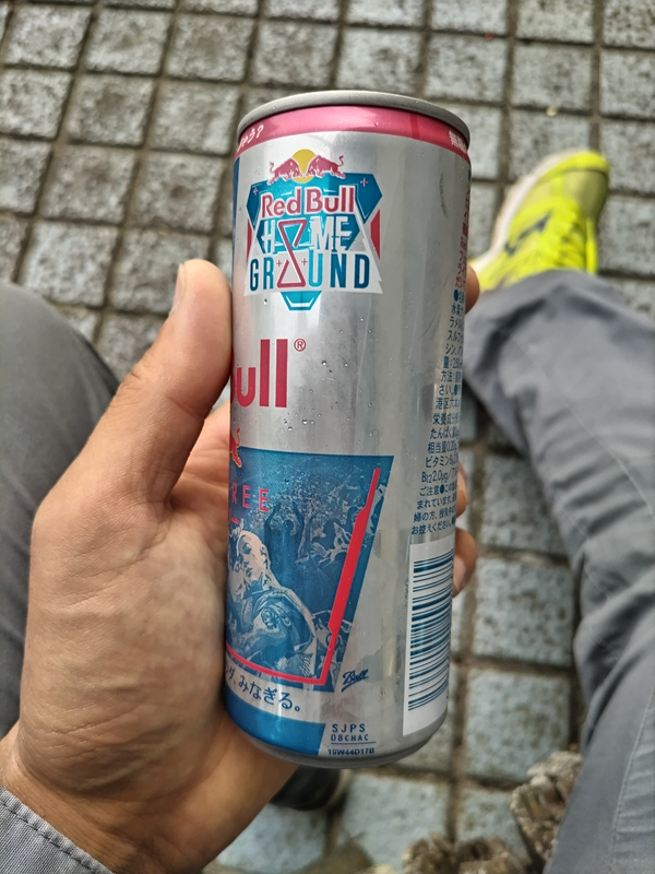 元ニート引籠りの俺が飲んでいたレッドブルの側面（シュガーフリーのやつ）