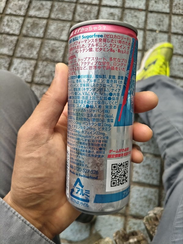 元引籠りニートの俺が掴んでいたレッドブル・シュガーフリー