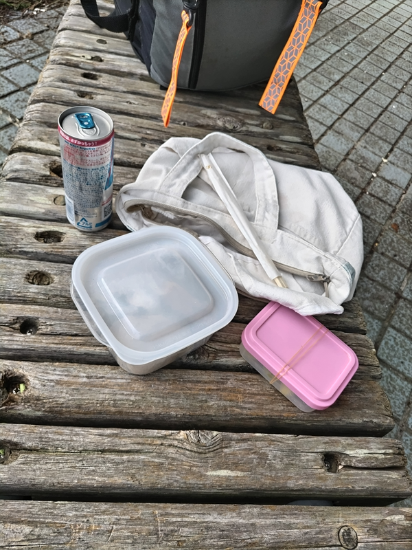 元引籠りニートの俺が早朝に飲み食いしていた朝食の弁当とレッドブル・シュガーフリー