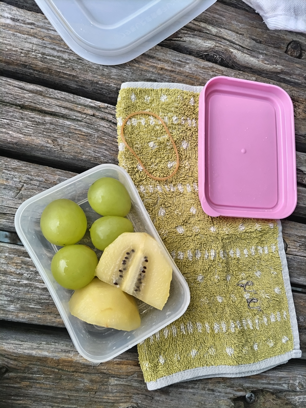 元ニート引籠りの俺が朝に食べた朝食についていた果物（シャインマスカットとキウイ）