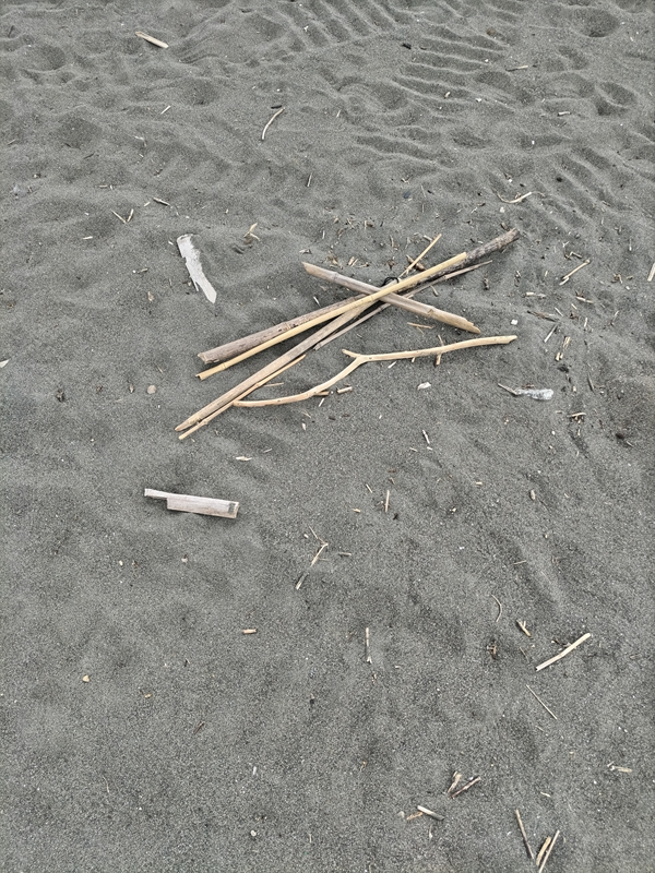 元引籠りニートの俺が見た海岸漂着の木くず【辻堂海岸にて】